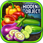 Hidden Object : Mysterious icon