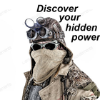 What's Your Hidden Power ?-icoon