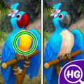 Differences Search Spot & Find