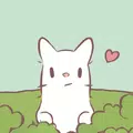 Cats&Soup