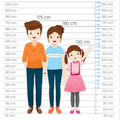 Height Comparison Chart