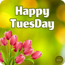 Happy Tuesday Images | Tuesday Wishes Quotes APK