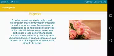 Flowerpedia