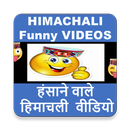 Himachali Comedy -Himachali Funny Video Comedy APK