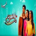 Udaariyaan Serial