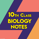 10th Class Biology Notes APK