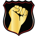 HinchaAmarillo.com 图标