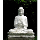 Buddha and Buddhism Books in H APK