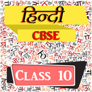 Class 10 Hindi Solved Papers 2 APK