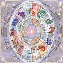 Nakshatra jyotish hindi APK