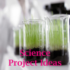 Science project ideas icône