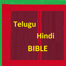 Telugu Bible Hindi Bible Parallel APK