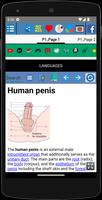 Penis Anatomy ảnh chụp màn hình 1