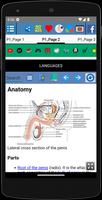 Penis Anatomy capture d'écran 2