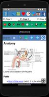 Penis Anatomy screenshot 2