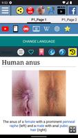 برنامه‌نما Human Anus Anatomy عکس از صفحه