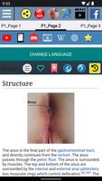 Human Anus Anatomy 截图 2