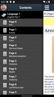 Areola (Breast) Anatomy poster