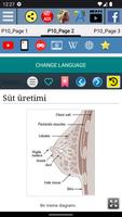 Meme Anatomisi Ekran Görüntüsü 2