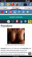Anatomi Payudara Kopek Tetek syot layar 1