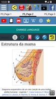 Anatomia da mama imagem de tela 2