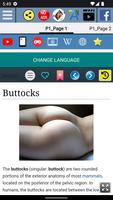 Buttocks Anatomy ảnh chụp màn hình 1