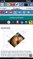 Buttocks Anatomy اسکرین شاٹ 2