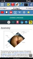 Buttocks Anatomy screenshot 2