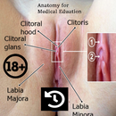 Clitoris Anatomy APK