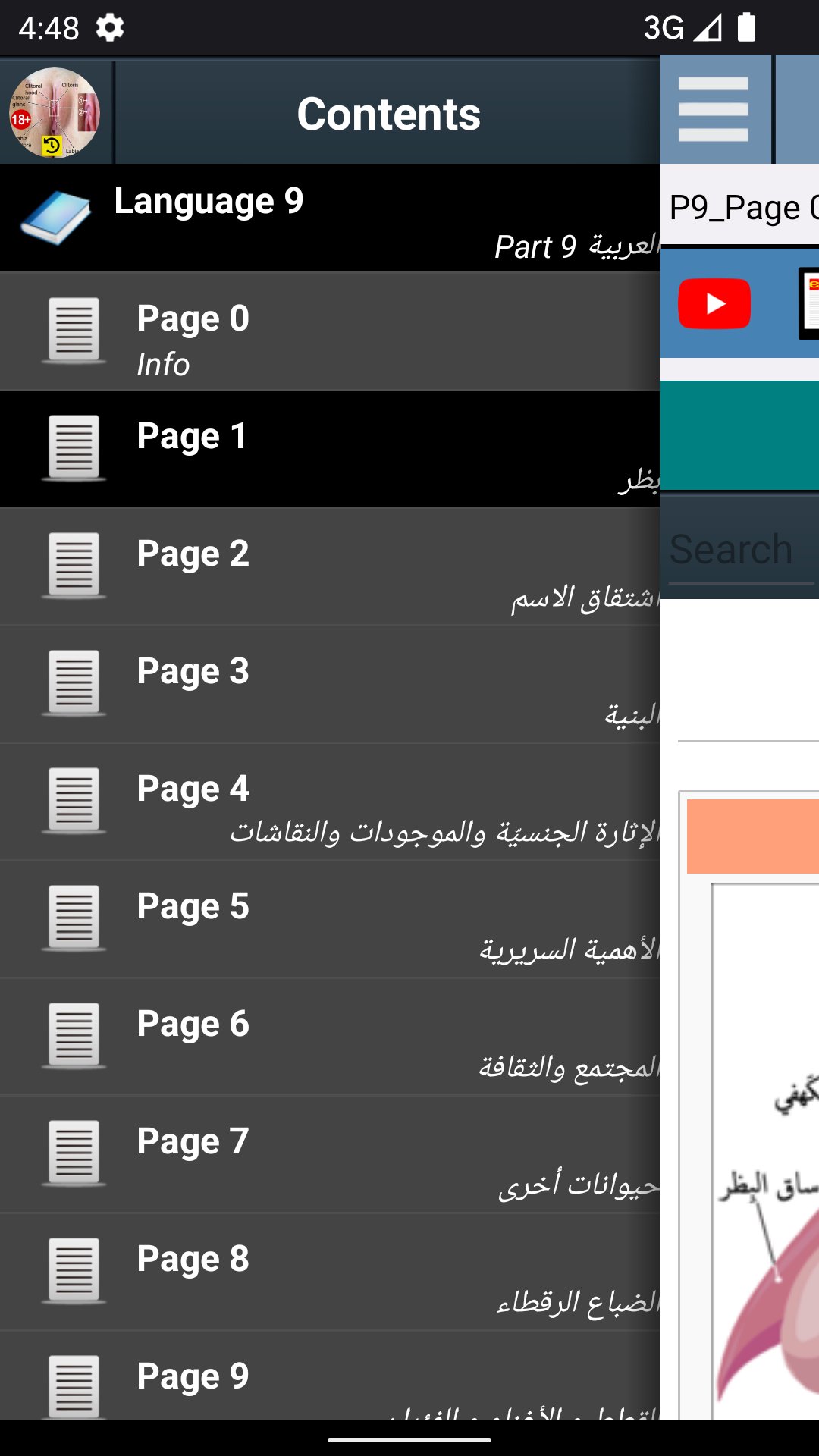 APK apk