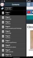 Clitoris Anatomy পোস্টার
