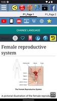 برنامه‌نما Female reproductive system عکس از صفحه