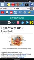 1 Schermata Apparato genitale femminile