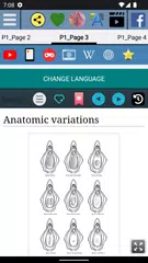 Hymen  - Anatomie APK Herunterladen