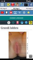 1 Schermata Grandi labbra  - Anatomia