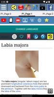 برنامه‌نما Labia Majora Anatomy عکس از صفحه