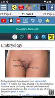 Labia Majora Anatomy ภาพหน้าจอ 2