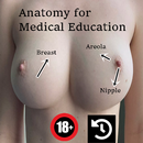 Nipple Anatomy - Medical ED APK