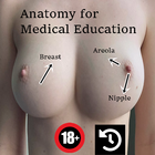 Nipple Anatomy-icoon