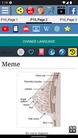 Meme başı - Anatomi Ekran Görüntüsü 2