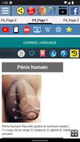 Anatomie du Pénis humain capture d'écran 1