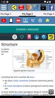 Anatomie du Pénis humain capture d'écran 2