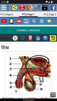 पेनिस एनाटॉमी स्क्रीनशॉट 1