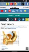 2 Schermata Anatomía del Pene