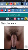 Anatomia do Pênis imagem de tela 1