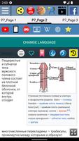 Анатомическое строение пениса скриншот 2