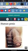 Penis Anatomy স্ক্রিনশট 1