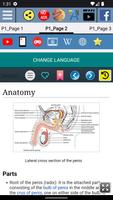 Penis Anatomy スクリーンショット 2