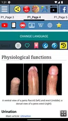 Penis Anatomy for Medical ED アプリダウンロード