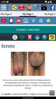 1 Schermata Scroto - Anatomia